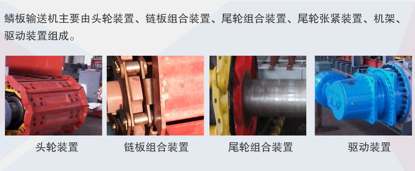 鱗板輸送機細(xì)節(jié)展示